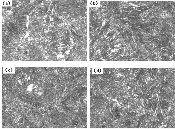 圖12-15 （a、b、c、d） 1～4號(hào)樣金相組織 500&times;