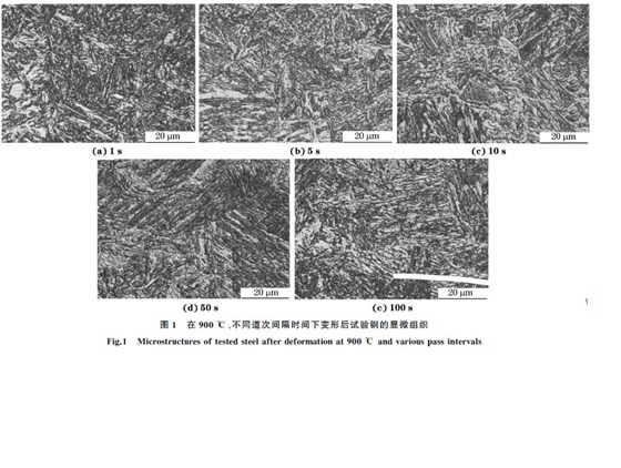 圖１ 在９００ ℃、不同道次間隔時間下變形后試驗鋼的顯微組織