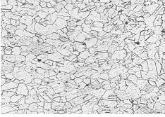 GH4169螺栓固溶時(shí)效金相組織 100&times;