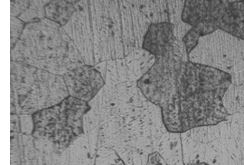 圖5-27 2A01合金螺栓淬火時效金相組織 400&times;