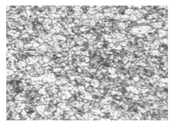 1Cr18Ni9Ti原材料金相組織200&times;