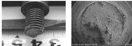 螺栓脆性斷裂形貌，螺栓脆性斷口形貌