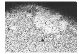 局部粗晶由六方角開始長(zhǎng)大 50 &times;