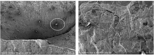 圖14-5 B區(qū)微觀(guān)形貌 圖14-6 B區(qū)微觀(guān)放大形貌