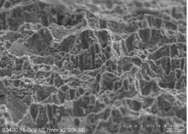 圖14-7 C區(qū)微觀(guān)形貌