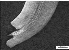 圖14-8 彈簧金屬流線(xiàn)