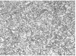 圖5.10 3Cr13螺栓調質金相組織200&times;