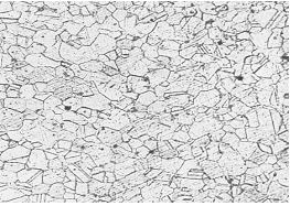 圖5-21 GH4169螺栓固溶時效金相組織 100&times;