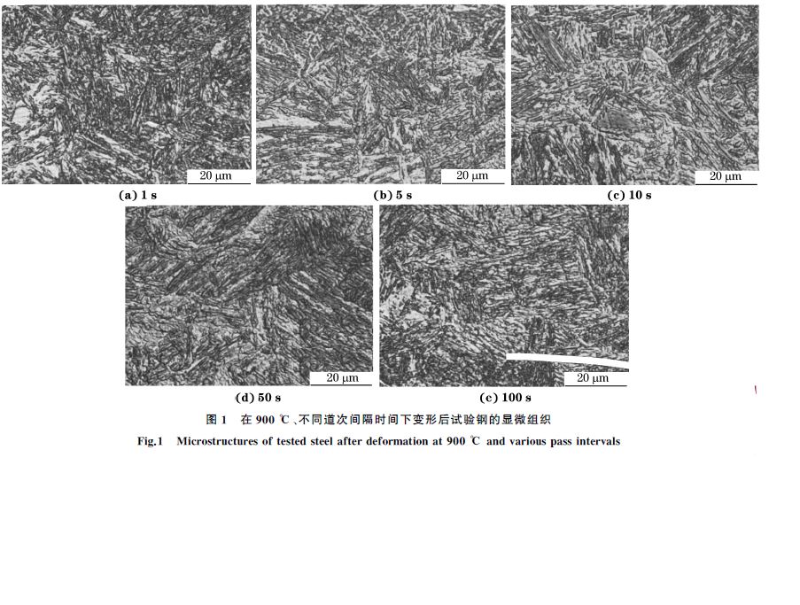 圖１ 在９００ ℃、不同道次間隔時(shí)間下變形后試驗(yàn)鋼的顯微組織